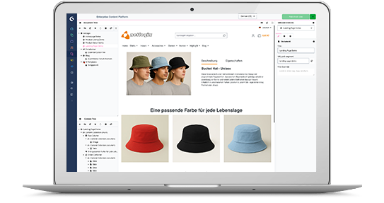 Shopware-Gestaltung mit dem CMS